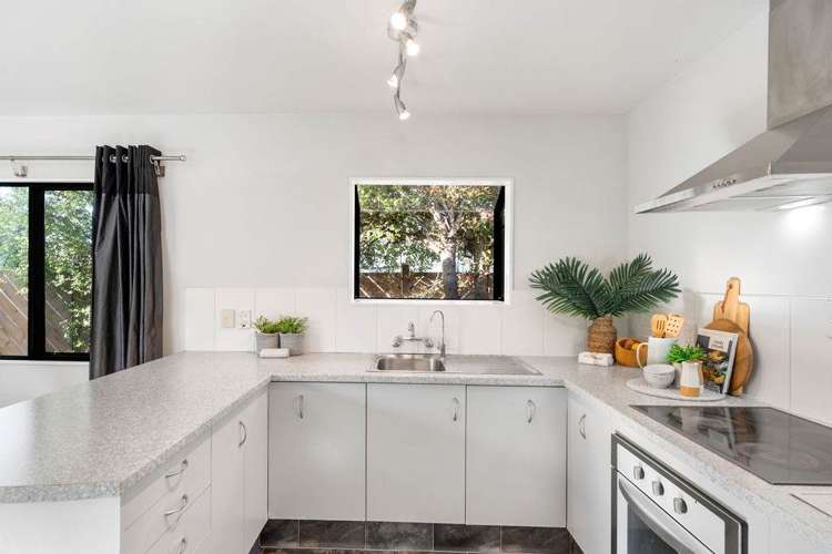 257B Maungatapu Road Maungatapu_5