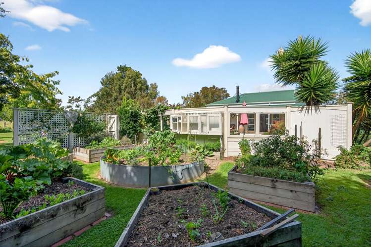 41 Oxford Street Martinborough_21