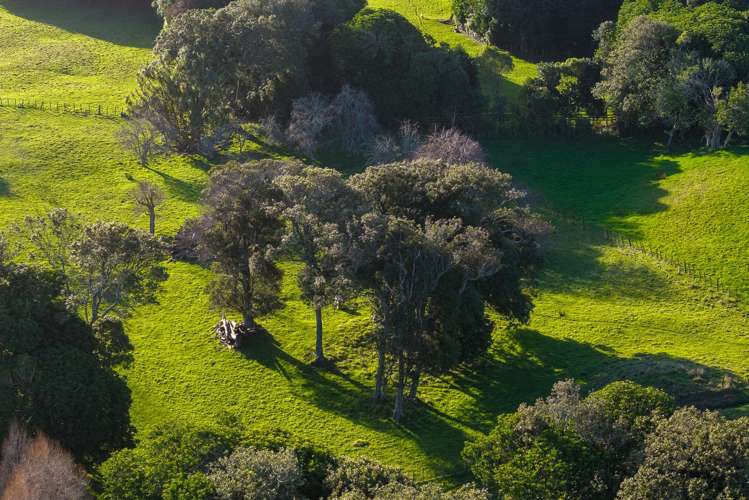 4 Reikorangi Road Waikanae_13