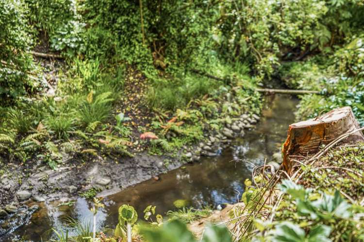 69b Casey Avenue Fairfield_14