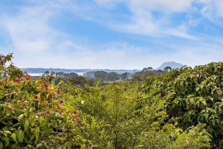 41 Walker Road Matata_20