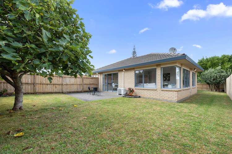 2 Slipper Avenue Flat Bush_13