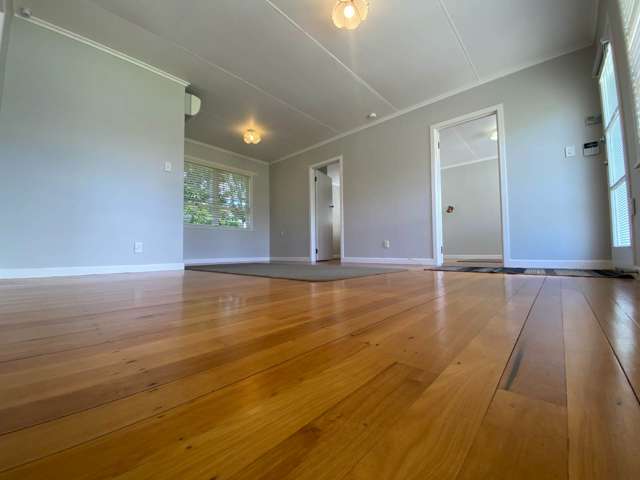 20 Matatea Avenue Pukekohe_3