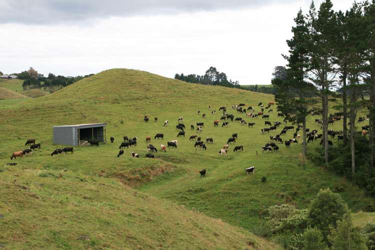 688 Junction Road Burgess Park_26