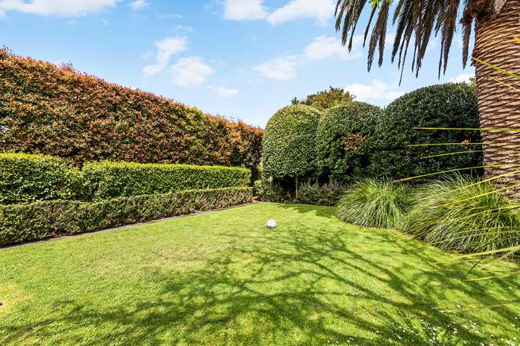 1a Dexter Avenue Mount Eden_18