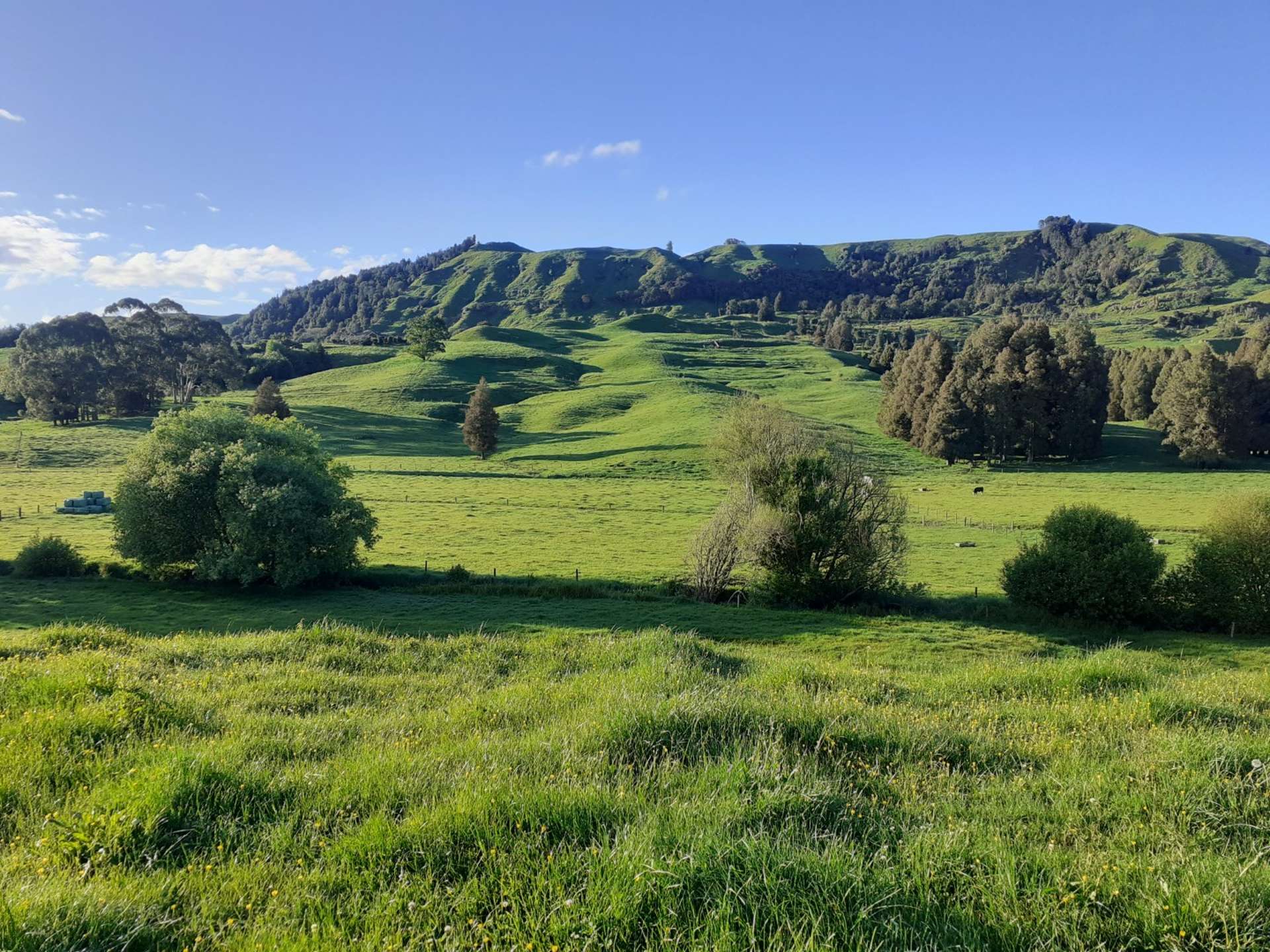 25 Pukenui Road Te Kuiti_0