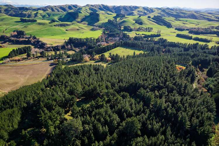 8P Davaar Road Greta Valley_7