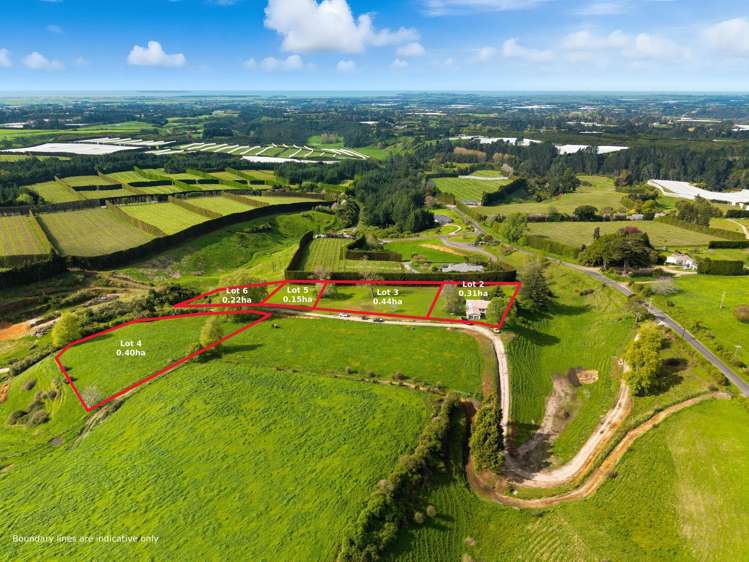 Lot Lot 2/1042 Rangiuru Road Te Puke_26