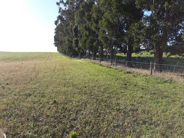 211 Whitstone-Five Forks Road Five Forks and Surrounds_3