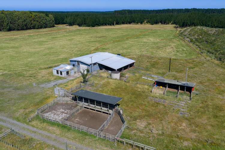 590 Brandon Hall Road Bulls_2