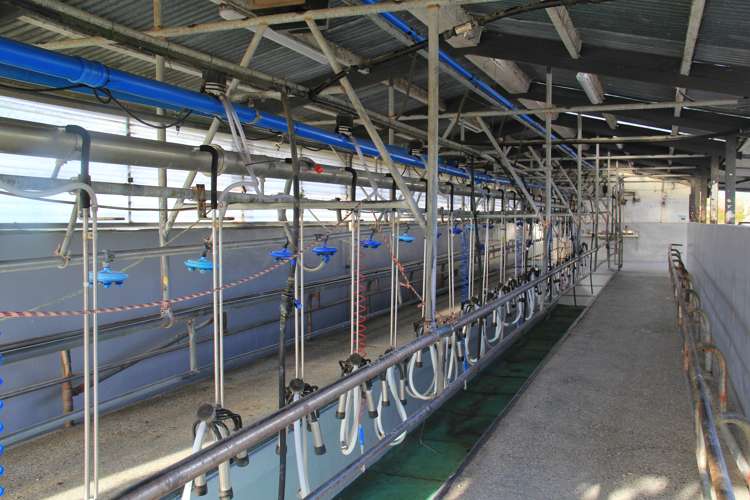 70 Johnston Road Kokatahi_7