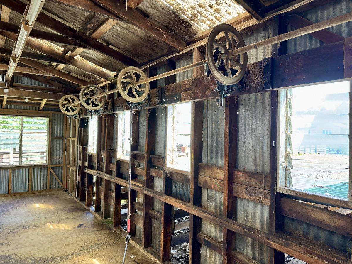 213 Parihauhau Road_3