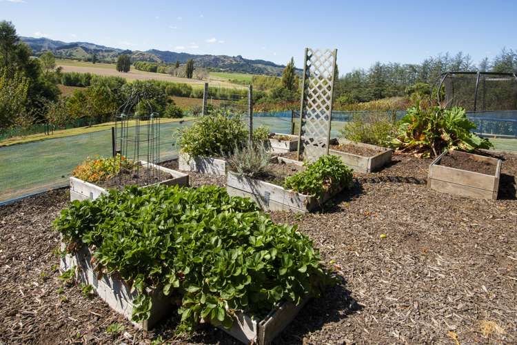 1053c Lavenham Road Waipaoa_16