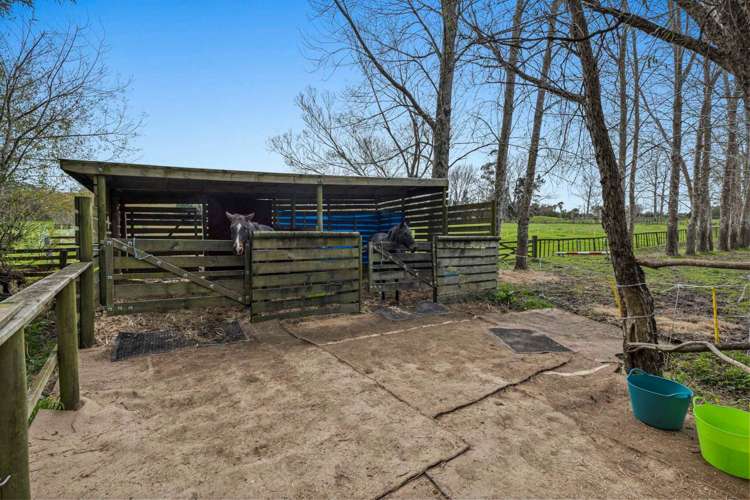 10 Lascelles Drive Dairy Flat_24