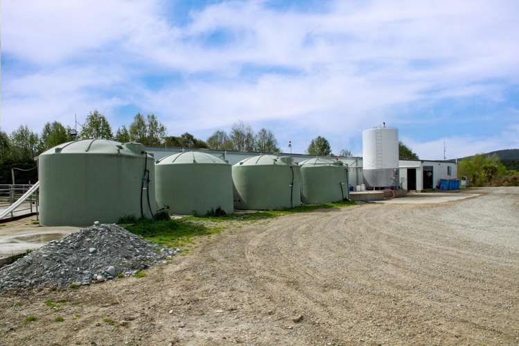 1932 Geraldine Fairlie Highway Kakahu_8