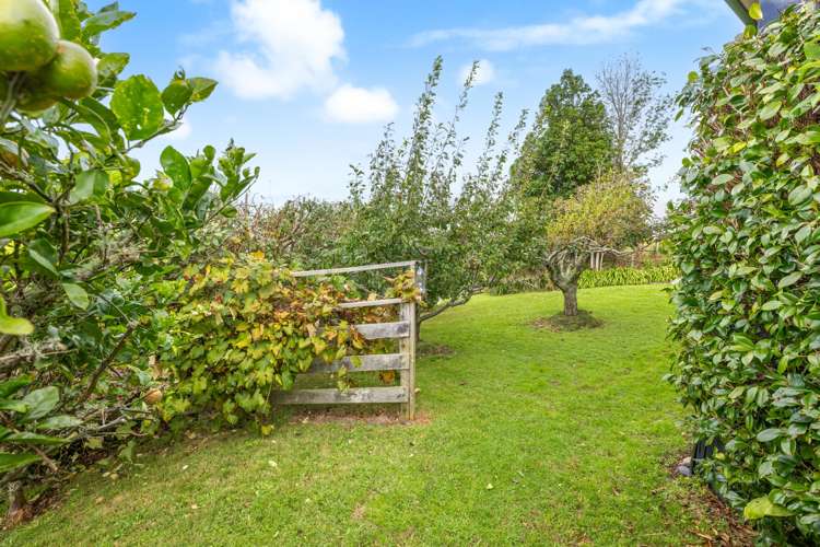 387 Wright Road Matakana_29