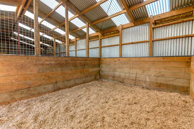 914 Waikare Road Waerenga_9