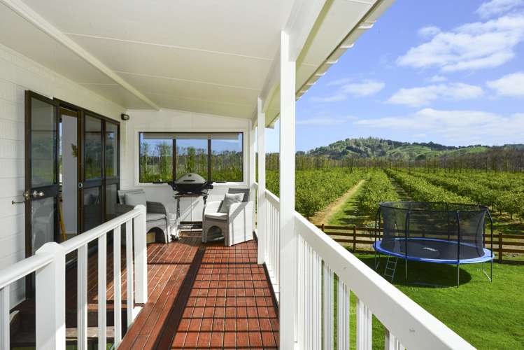 123 Bond Road Ormond_16