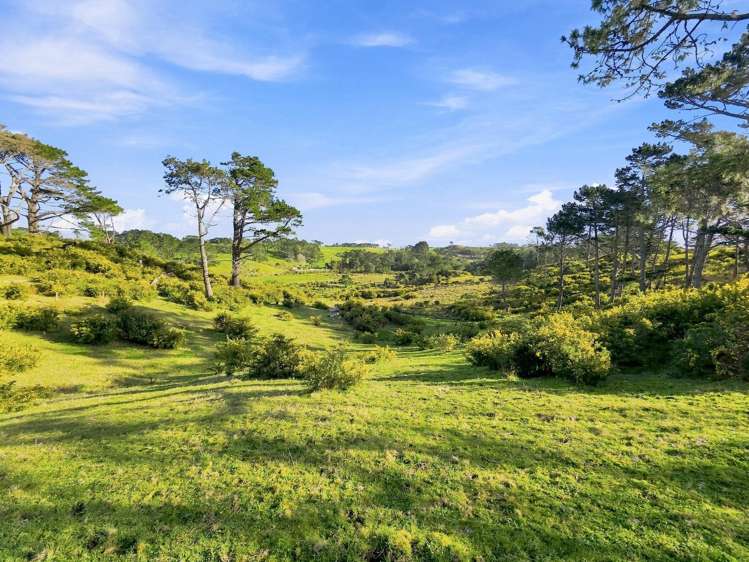 113 Tatarariki Spur Road_5