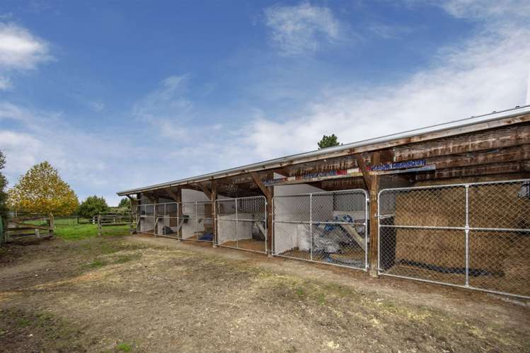 405 Loburn Terrace Road Loburn_12