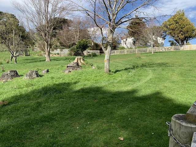 923 Oporae Rd Dannevirke_4