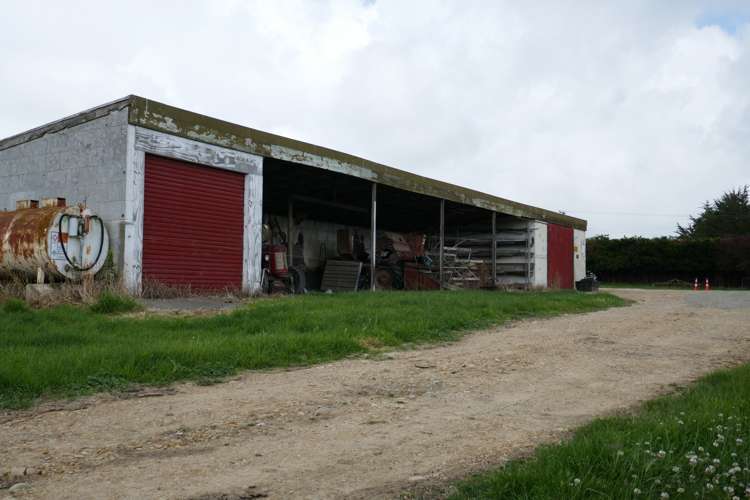 313 Springfield Road Totara_18