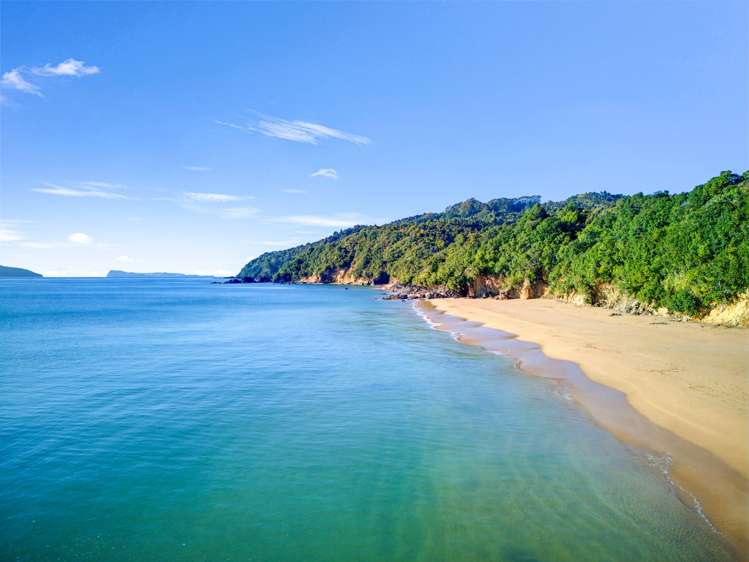 207 Sailors Grave Road Tairua_15