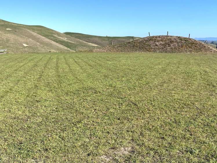 1.7ha Section - Maraekakaho Road Raukawa_10