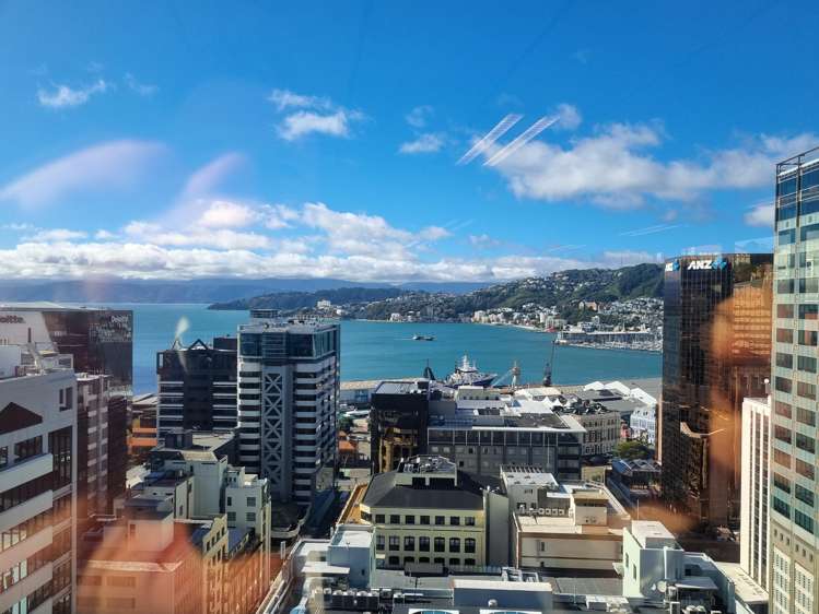 113 The Terrace Wellington Central_3