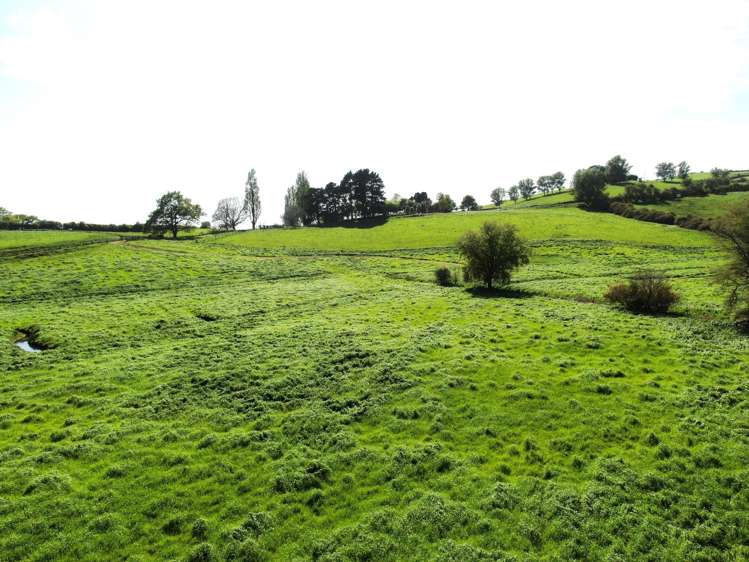 48 Barber Road Otewa_10