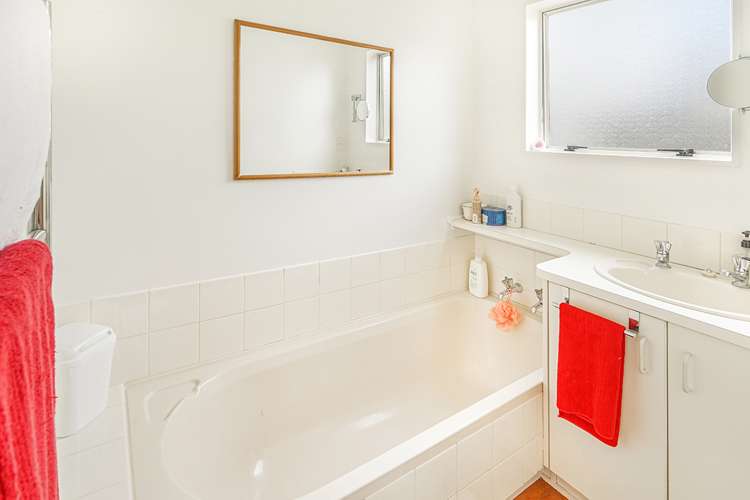 45b Livingstone Avenue Nawton_10