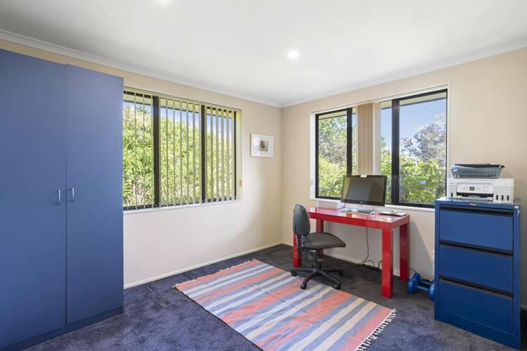 10b Cradock Street Avondale_13