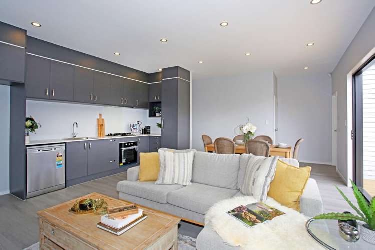 19a Mellsop Avenue_1
