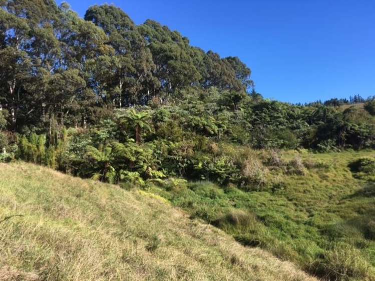 27 Redcliffs Road Kerikeri_13