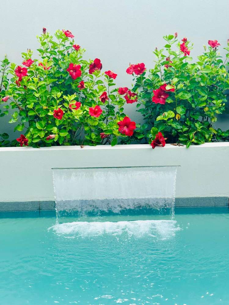 249 Wellington Street Pukekohe_36