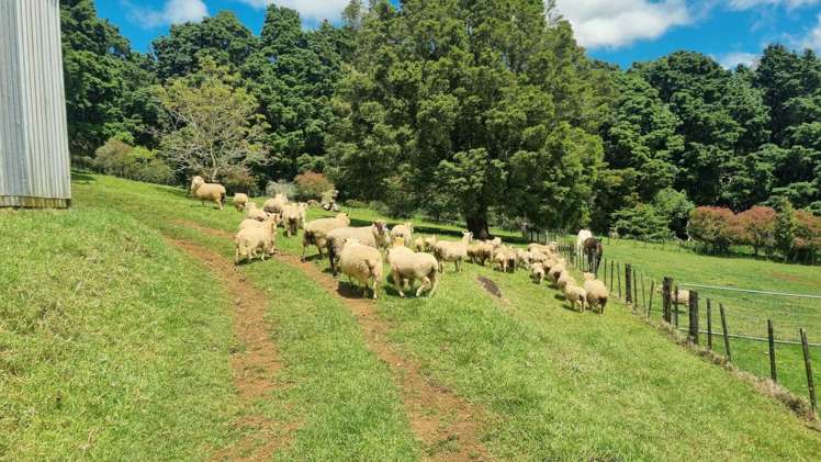 21 Waiare Road Okaihau_32