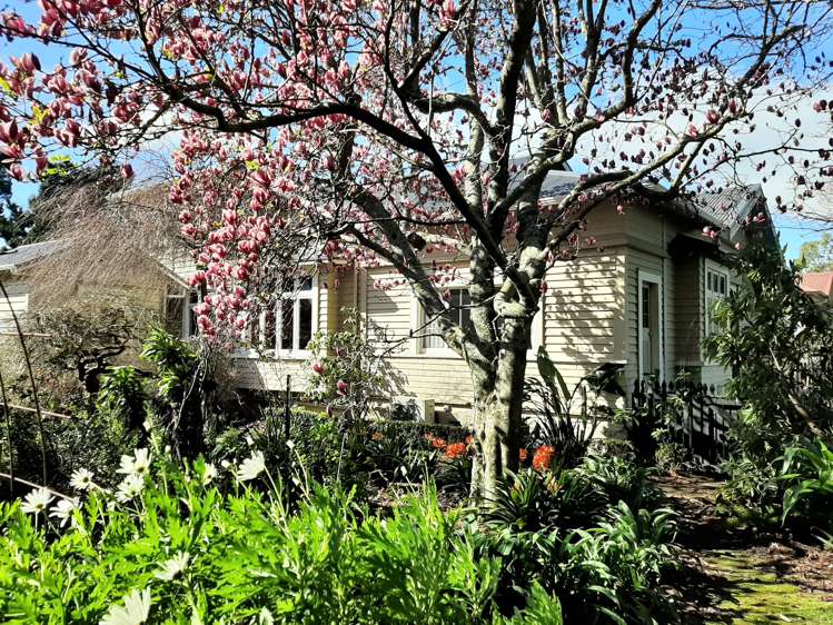 33 Bridge Street Whakatane_2