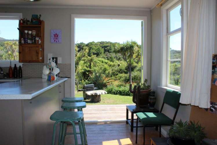 176 Wharariki Road Kahurangi National Park_7