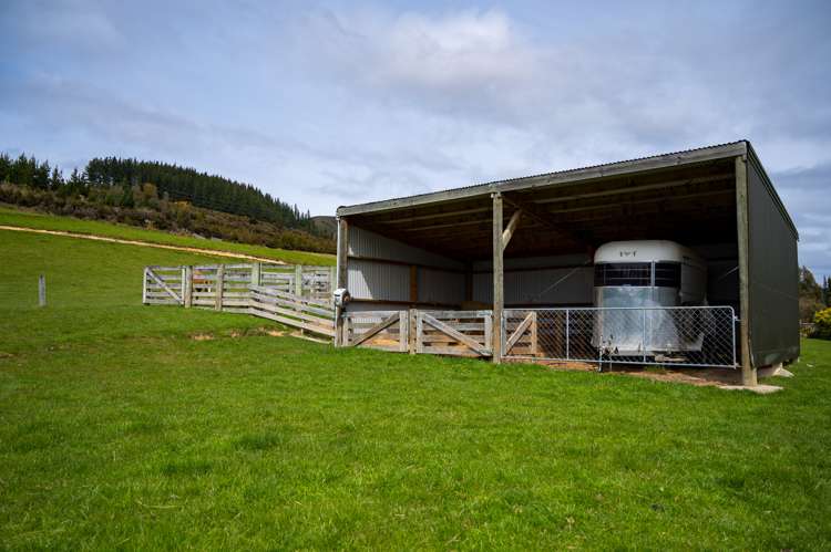 6121 State Highway 63 Wairau Valley_16