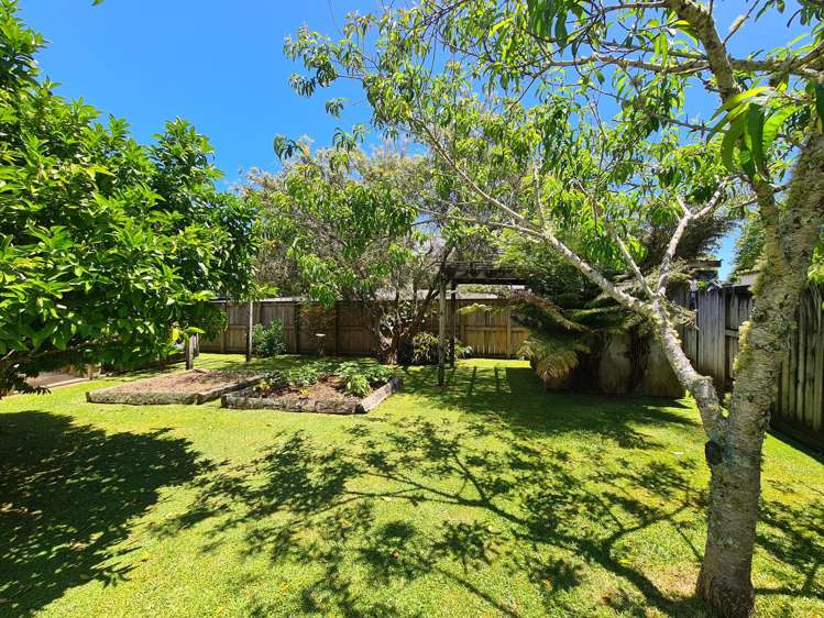 215 Lillis Lane Coromandel_13