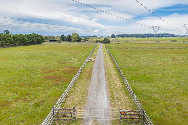 334 Motuiti Road Foxton_28