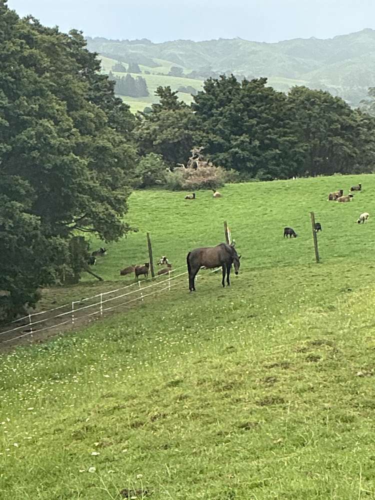 Lot 2/DP385487 Poyner Road Tahekeroa_6