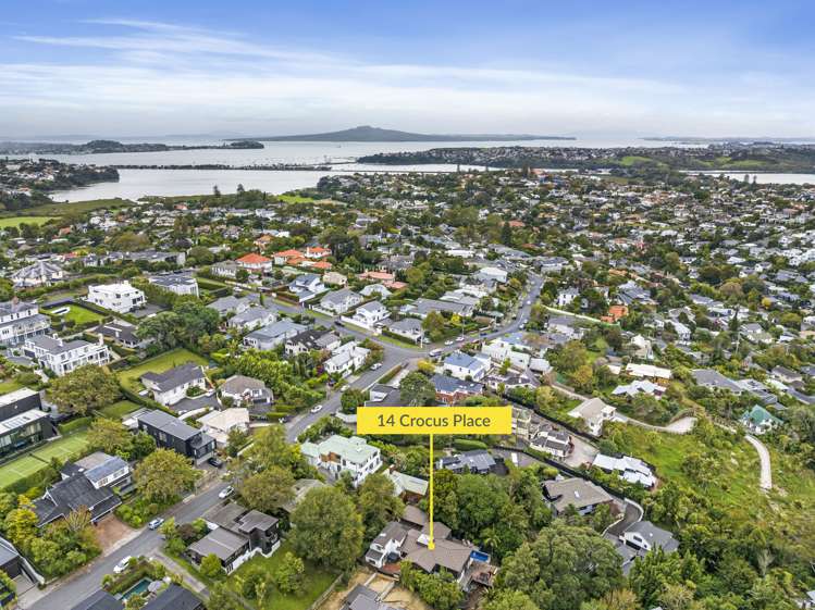 14 Crocus Place Remuera_20