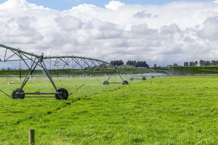 589 Coutts Island Road Coutts Island_2