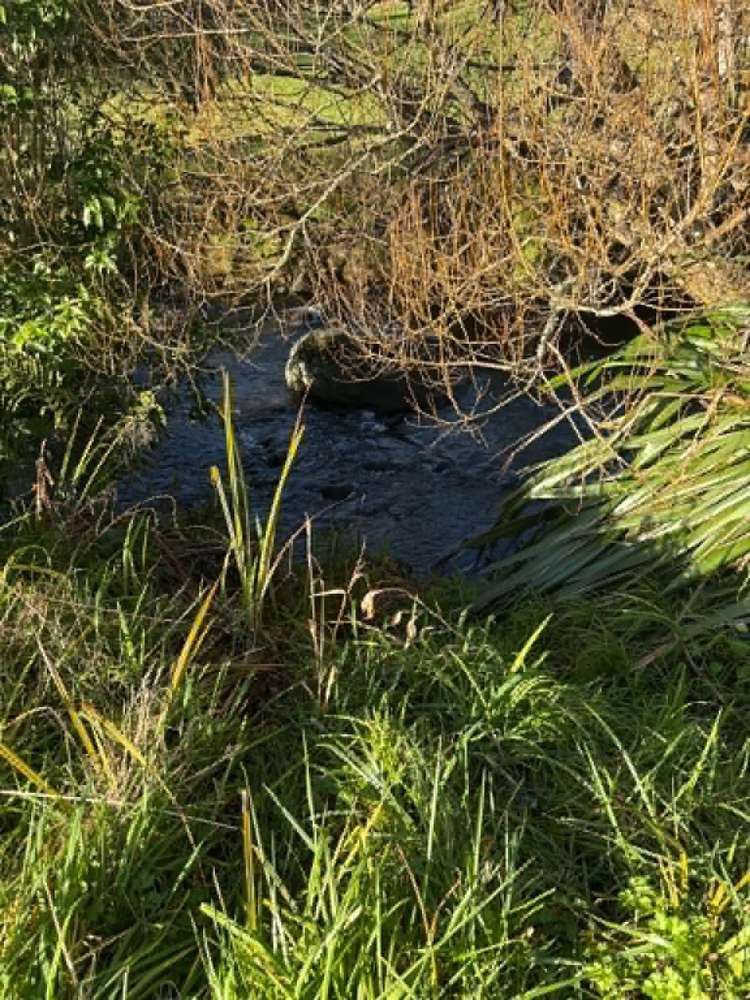 Lot 1 / 229 Hurford Rd Omata_4