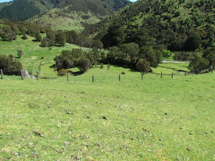 Mangatarere Valley Road Carterton_4