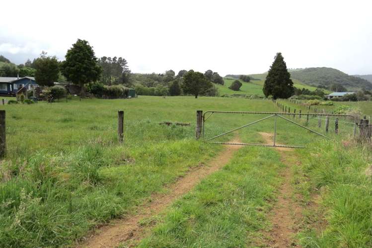 6220 Mangakahia Road_4