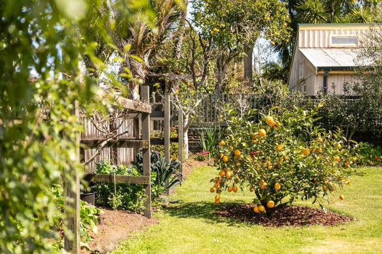 51 Poland Street, Waikino Waihi_19