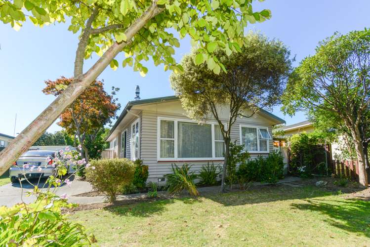 30 Canterbury Street Tamatea_12