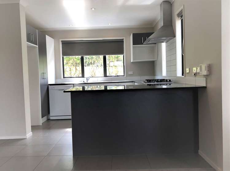 63 Coachman Drive Flat Bush_2